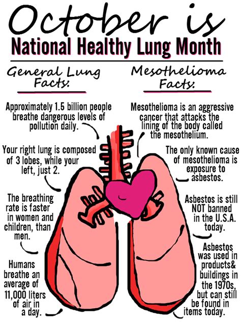 October Is National Healthy Lung Month Are You Armed With Knowledge