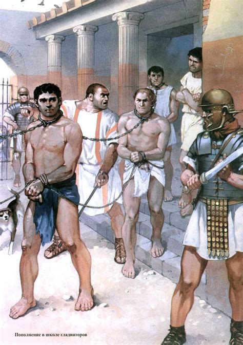 Slaves Roman History Roman Gladiators Ancient Warfare