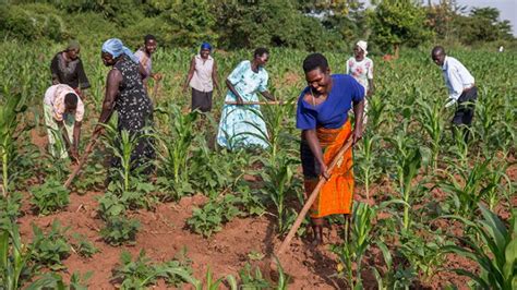 Women Deserve More Recognition In Farming Farmers Review Africa