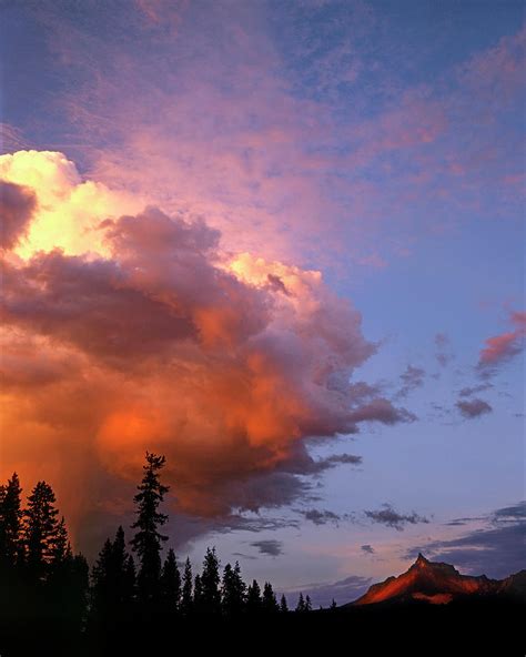 Usa Oregon Umpqua National Forest Photograph By Jaynes Gallery