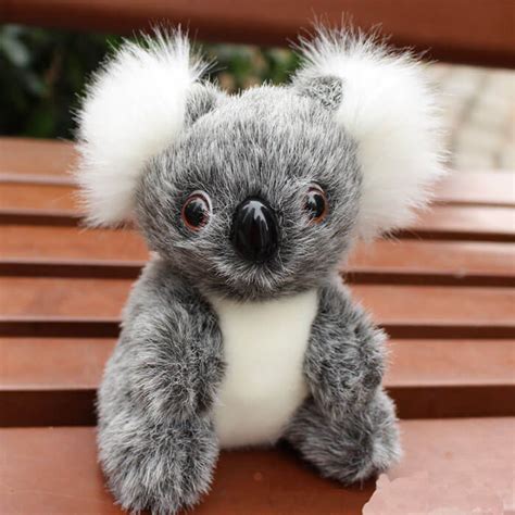 Super Cute Small Koala Bear Plush Toys Worth Buy Store