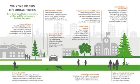 Why We Focus On Urban Trees Trees For Cities Infographic 1088×652