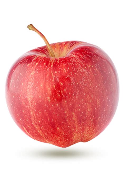 Borrowed from french pomme, ultimately from latin poma. Les producteurs - fraicheurquebec.com