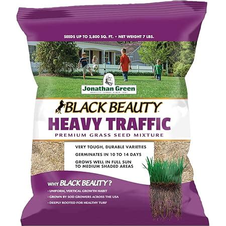 Amazon Com Jonathan Green Black Beauty Heavy Traffic Grass Seed Cool Season Lawn
