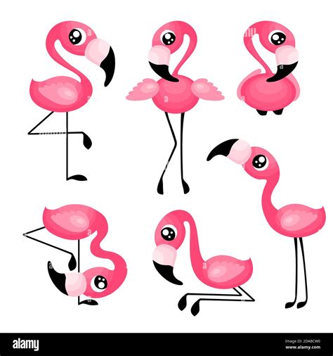 Cute Cartoon Flamingo Set Exotic Birds Collection Vector Illustration
