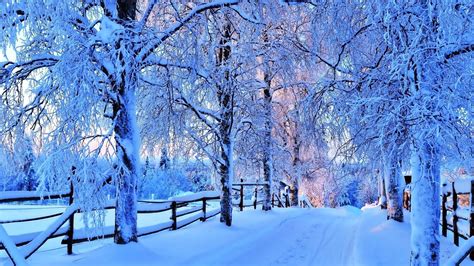 Pretty Winter Backgrounds Pictures