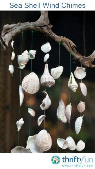 This Guide Is About Sea Shell Wind Chimes A Fun Project That Can