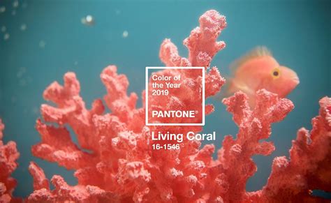 Pantone Announces The Color Of The Year 2019 Pantone® 16 1546 Living