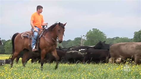 Louisiana Farm Life -- Joey Register 