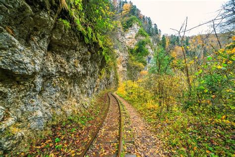 Railroad Tracks Cut Through Autumn Woods Stock Image Image Of Country