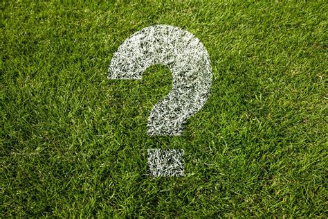 7 Questions To Ask When Hiring A Landscaping Company Armbruster