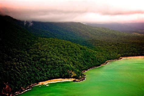 Nature Daintree Rainforest Wallpaper