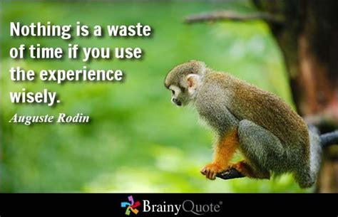 Brainyquote On Twitter Experience Quotes Brainy Quotes Time Quotes