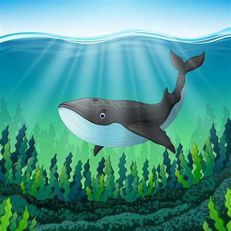 Premium Vector Vector Illustration Of Cartoon Whale Swim In The Sea