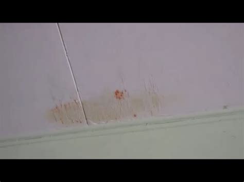 Water dripping from basement ceiling. Water Dripping from Ceiling - Roof Leak? - YouTube