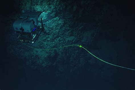 The vast submarine slopes and steep walls of. The deepest part of the ocean is really noisy | The Verge