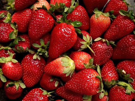 Free Strawberries Stock Photo