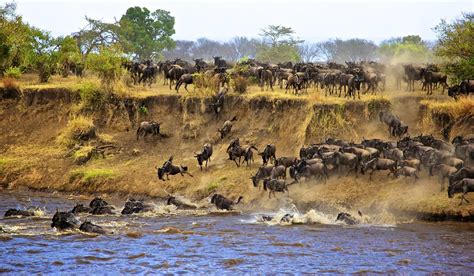 Amboseli Lake Naivasha Hell´s Gate And Masai Mara Safari From Nairobi