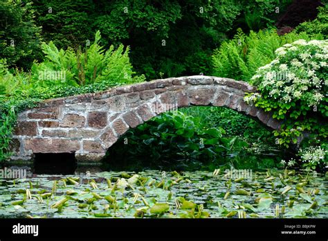 Pretty Stone Bridge Over A Waterlily Filled Pond Stock Photo Alamy