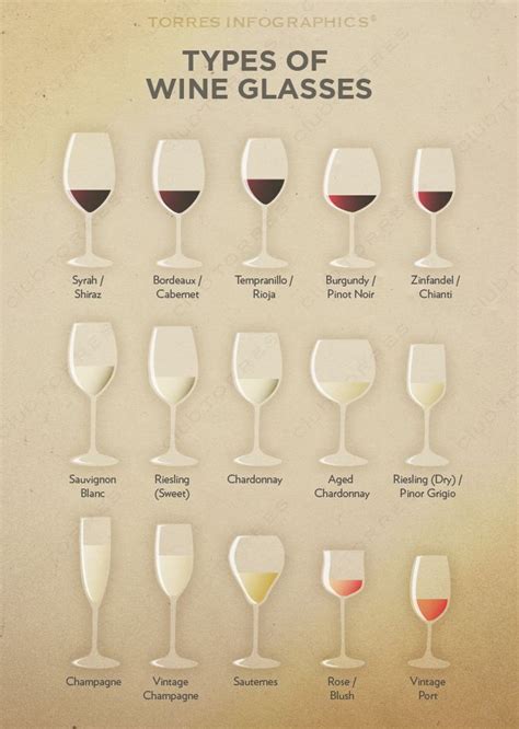 a tasting of glasses types of wine glasses types of wine wine guide