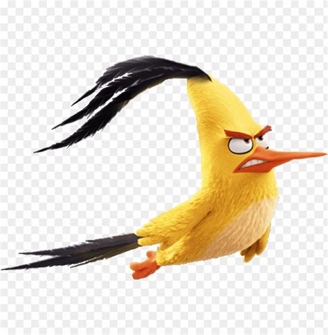 Angry Birds Movie Chuck Flying Png Image With Transparent Background