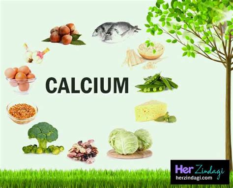 10 benefits of calcium for women health in hindi best health benefits of calcium for women
