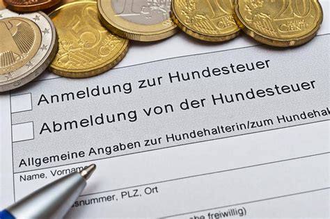 Jak Obliczyć Zwrot Podatku Z Niemiec Regeld
