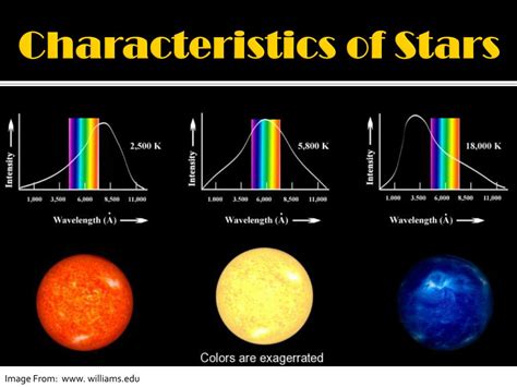 Types Of Stars Worksheet