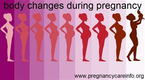 Body Changes During Pregnancy 8 Pregnancy Signs Change Your Body