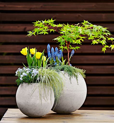 How To Make A Concrete Globe Garden Planter Midwest Living