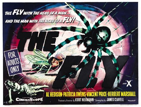 Katy J Negus Ba Hons Cg Arts And Animation The Fly 1958 Review