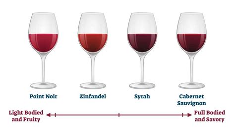 Discover The Different Types Of Red Wine Beer And Wine Guide