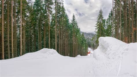 Ski Piste Among Of Forest On Ski Resort In Carpathians Stock Image