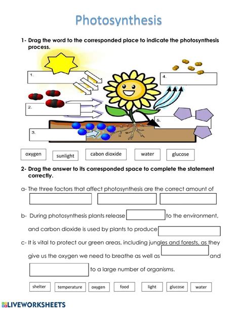 What Affects Photosynthesis Interactive Exercise For Grade You Can Do The Exercises Online Or