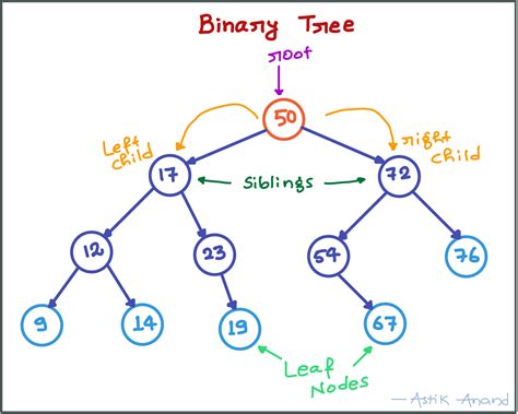 Binary Tree Astik Anand