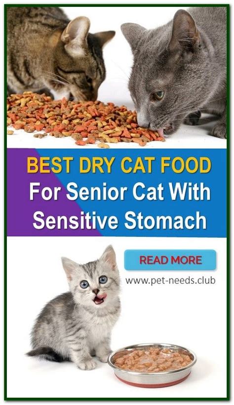 After eight weeks of age, you can start feeding the best place to start when figuring out how much to feed a kitten is to look at the recommended feeding instructions on her food. Purina One Kitten Dry Food How Much To Feed