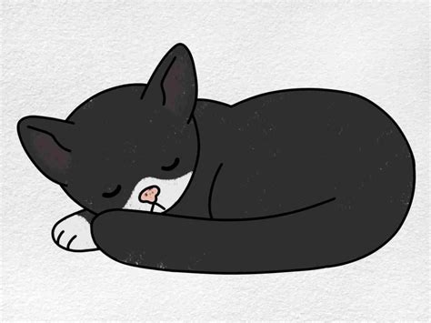 Sleeping Cat Drawing Helloartsy