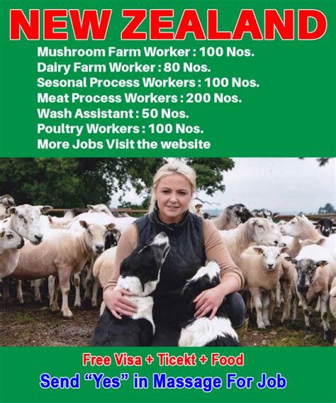 New Zealand Jobs for Foreigners | Urgent 500+