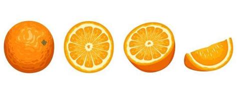 Orange Fruit Vector Art Icons And Graphics For Free Download