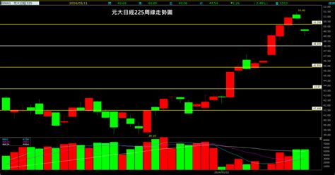 元大日經22500661股票股價主力成本股利基本面 3種投資策略分析 森洋學院