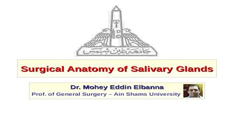 Surgical Anatomy Of Salivary Glands Ppt Powerpoint
