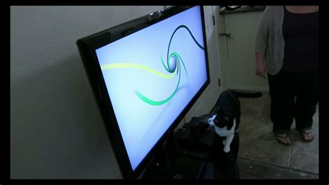 Cat Attacks Xbox 360 Logo Youtube