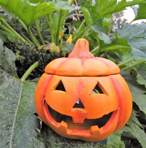 Pumpa Halloween Skörd Höst Gratis Foto På Pixabay