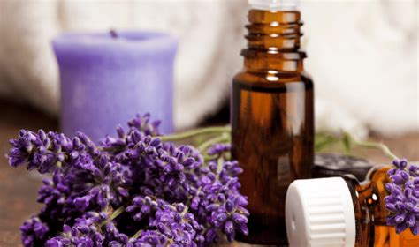 8 Benefits Of Lavender Oil Leann Forst