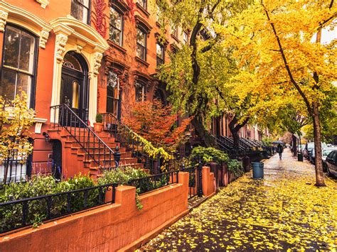 Wallpaper Brooklyn City Houses Sidewalk Autumn Trees