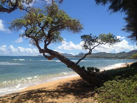 Hawaii Scenery with Small Town Benefits | Family Vacation ...