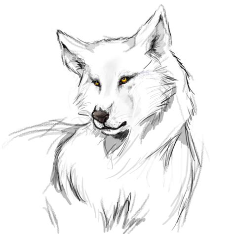 Wolf Drawings Easy