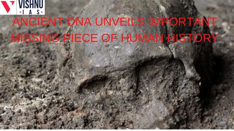 Ancient Dna Unveils Important Missing Piece Of Human History