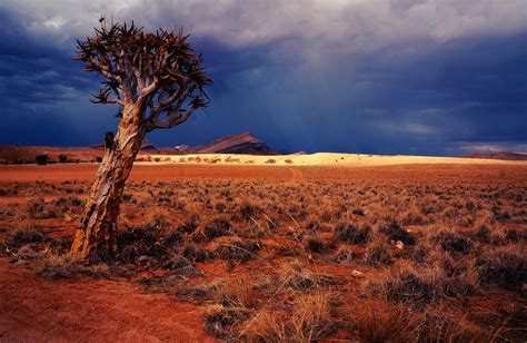 It looks like you may be having problems playing this video. Namibia The Road Unpacked - Peaks Of Africa