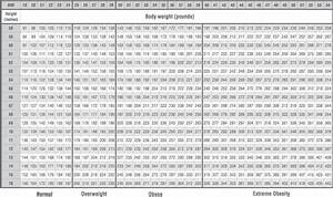Bmi Body Mass Index Calculator Motivating 